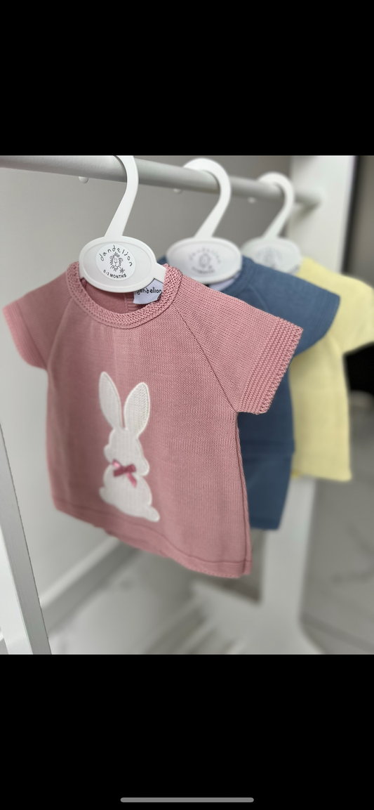 Dusty Pink Bunny 2 Piece